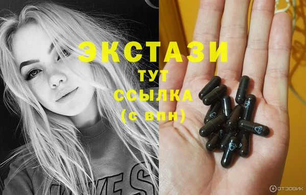 сатива Аркадак
