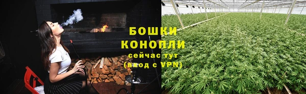 сатива Аркадак